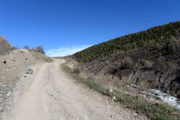 Mountain road in the area of the river Yarlyamry. Mountain Altai.Siberia. Russia — Stock Photo, Image