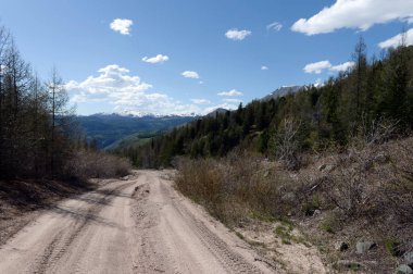  Dağ yolundan Yarlyamry Nehri'nin alanında. Dağ Altai.Siberia. Rusya