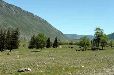 Dağ manzarası nehir Chuya, Altay Cumhuriyeti, Sibirya, Rusya yakın