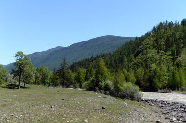   Chuya dağ nehir, Altay Cumhuriyeti, Sibirya, Rusya Federasyonu