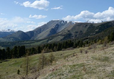    Dağ manzarası Yarlyamry Nehri'nin alanında. Dağ Altai.Siberia. Rusya
