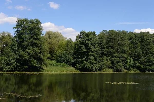 Moscou Russie Juin 2018 Basse Étang Kuzminsky Dans Parc Naturel — Photo