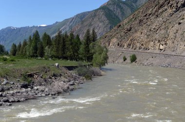  Chui yolu boyunca nehir, Altay Cumhuriyeti, Sibirya, Rusya Federasyonu