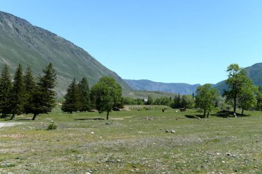  Dağ manzarası nehir Chuya, Altay Cumhuriyeti, Sibirya, Rusya yakın