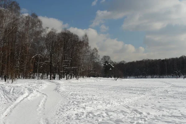 Lago Shibaevsky de inverno no parque histórico-natural "Kuzminki-Lyublino" em Moscou — Fotografia de Stock