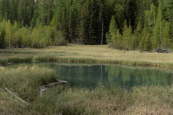 Blue Geysernoe Lake, près du village d'Aktash, district d'Ulagansky, Gorny Altai, Sibérie — Photo