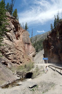  Turistler Ulagan giden yolda dağ nehri Cibitka köprüsünde. Altay Cumhuriyeti