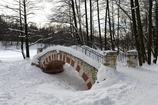 Ponte no parque de história natural "Kuzminki-Lyublino" em Moscou — Fotografia de Stock