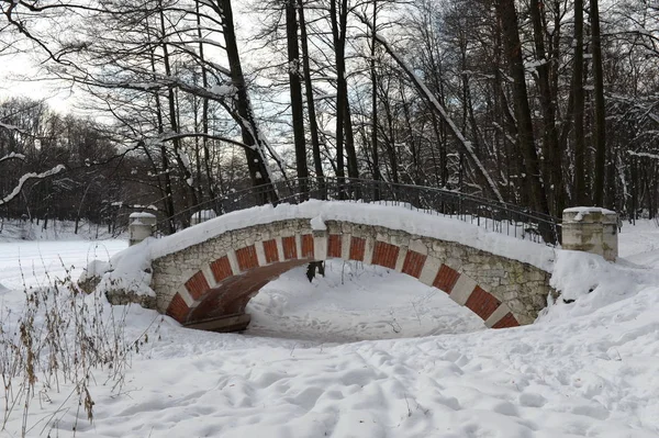 Ponte no parque de história natural "Kuzminki-Lyublino" em Moscou — Fotografia de Stock