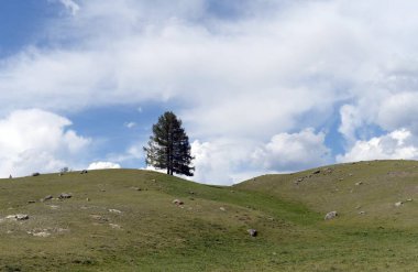   Altay Republic.Western Sibirya Ulagan bölgesinde dağ manzarası