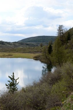  Lake Cheybekkol Altay Cumhuriyeti'nin Ulagan bölgesinde