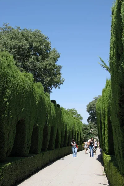Los Jardines del Generalife en La Alhambra, complejo palaciego y fortaleza situado en Granada —  Fotos de Stock