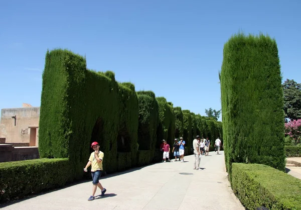 Granada Espanha Julho 2011 Jardins Generalife Complexo Alhambra Palácio Fortaleza — Fotografia de Stock