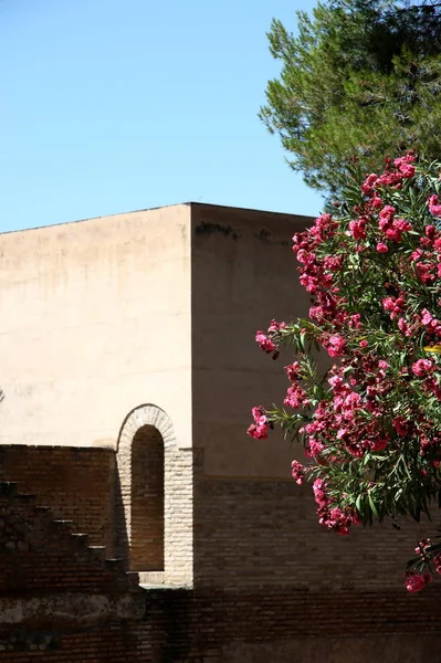 Granada Španělsko Července 2011 Starobylé Zdi Pevnosti Alcazaba Alhambře Granada — Stock fotografie