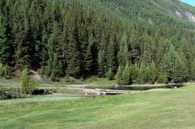 Altay Cumhuriyeti, Rusya Federasyonu - 8 Haziran 2018: Altay Cumhuriyeti Ulagan bölgenin Aktash köyü yakınındaki nehrin Menka köprüde