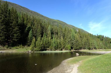  Altay Cumhuriyeti, Rusya Federasyonu - 8 Haziran 2018: Dağ nehir Ulagan İlçesi Altay Cumhuriyeti'nin Aktash köyü yakınlarında. Batı Sibirya. Rusya