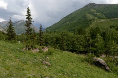 Altay Cumhuriyeti, Rusya Federasyonu - 8 Haziran 2018: Nehir Chuya, Altay Cumhuriyeti, Sibirya, Rusya dağ manzarası