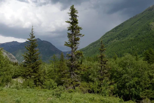 República Altai Rússia Junho 2018 Paisagem Montanhosa Junto Rio Chuya — Fotografia de Stock