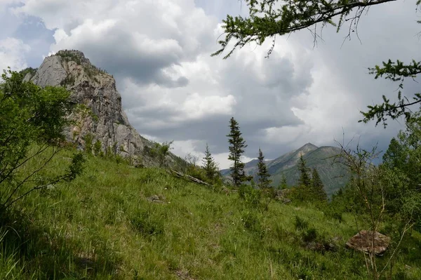 Altai Republic Russia June 2018 Mountain Landscape River Chuya Altai — Stock Photo, Image