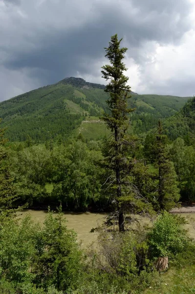 Δημοκρατία Των Αλτάι Ρωσία Ιουνίου 2018 Ορεινό Τοπίο Από Ποτάμι — Φωτογραφία Αρχείου