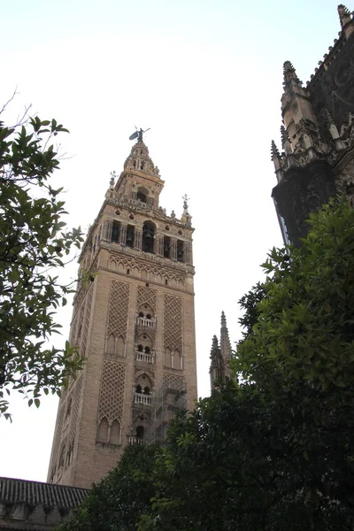 西班牙塞维利亚 2011年7月27日 塞维利亚大教堂碎片 — 图库照片