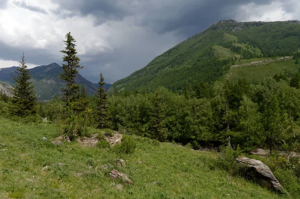 República Altai Rússia Junho 2018 Paisagem Montanhosa Junto Rio Chuya — Fotografia de Stock