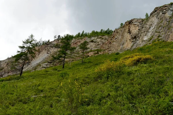 República Altai Rusia Junio 2018 Paisaje Montaña Junto Río Chuya —  Fotos de Stock