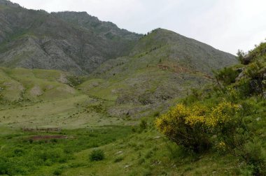  Kalbak-Tash yolu, onun petroglifler hayvanların görüntüleri ile ünlüdür