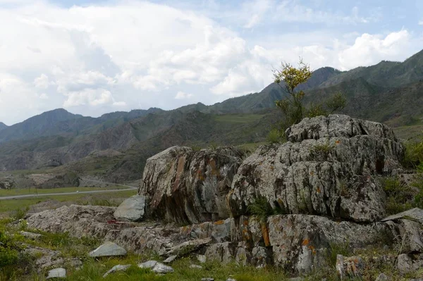 Kalbak-Taš traktu, známý pro jeho petroglyfy s obrázky zvířat — Stock fotografie