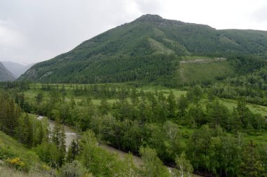  Dağ manzarası tarafından nehir Chuya, Altay Cumhuriyeti, Sibirya, Rusya Federasyonu