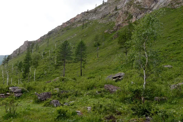 川中也、アルタイ共和国、シベリア、ロシアによって山の風景 — ストック写真