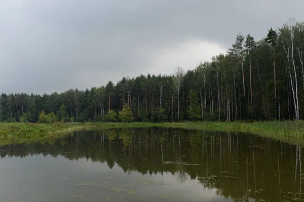 Meshchersky gölet Park Moskova — Stok fotoğraf