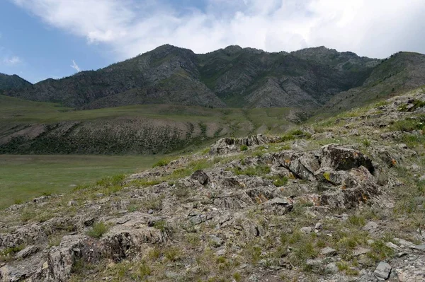 Kalbak-Tash yolu, onun petroglifler hayvanların görüntüleri ile ünlüdür — Stok fotoğraf