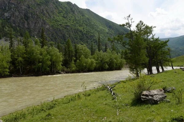 Гірський краєвид річки Чуйський, Республіка Алтай, Сибіру, Росія — стокове фото