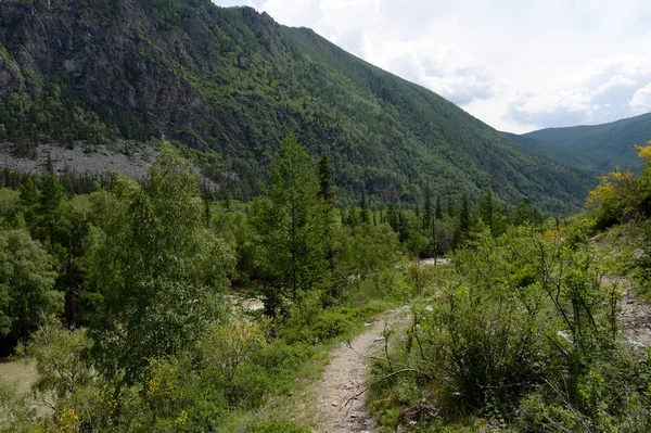 川中也、アルタイ共和国、シベリア、ロシアによって山の風景 — ストック写真