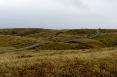  Altay sonbahar eteklerinde. Batı Sibirya. Rusya