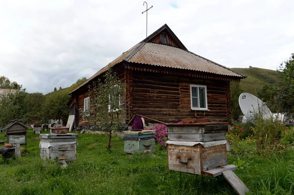 Bienenstöcke in der Nähe des Hauses im Bergdorf Generalka im Altai — Stockfoto