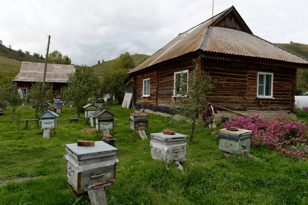 Bee bijenkasten in de buurt van het huis in het dorp van de berg van Generalka van het grondgebied van de Altaj — Stockfoto