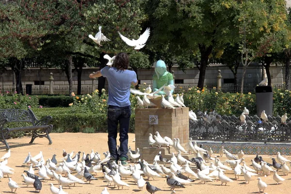 Seville Spania Iulie 2011 Bărbat Necunoscut Porumbei Parcul Maria Luisa — Fotografie, imagine de stoc