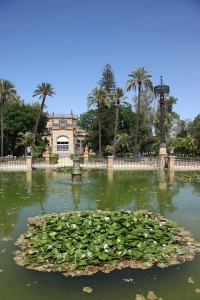 Sur la Plaza de America dans le parc Maria Luisa à Séville — Photo