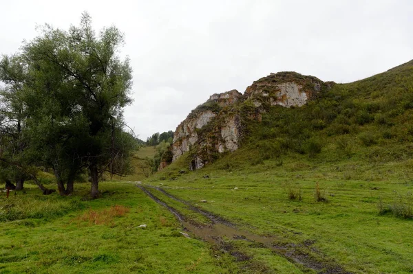 Dağ manzarası Köyü Generalka Altay bölgesi civarında. Batı Sibirya. Rusya — Stok fotoğraf