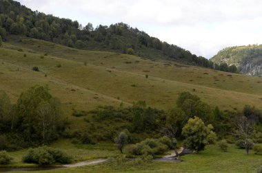  Batı Sibirya'da Altay Toprakları Genel taiga yerleşim çevresinde Dağ manzara