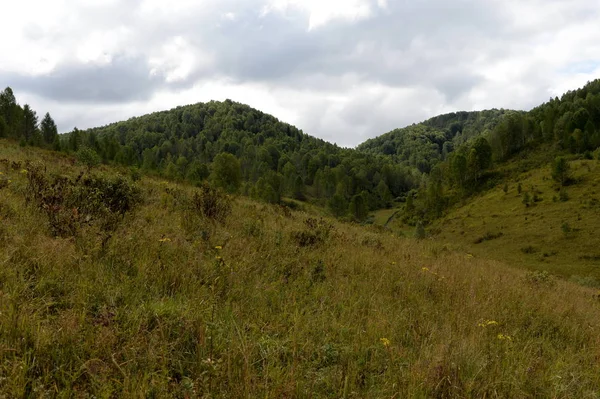 Batı Sibirya'da Altay Toprakları Genel taiga yerleşim çevresinde Dağ manzara — Stok fotoğraf