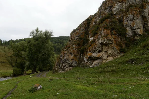 Paysage de montagne à proximité de la taïga de peuplement du général du territoire de l'Altaï en Sibérie occidentale — Photo