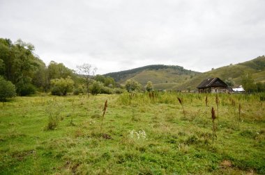   Batı Sibirya'da Mountain village Generalka Altay Toprakları. Rusya