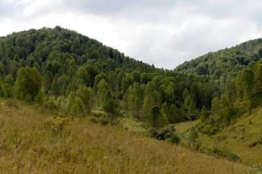  Batı Sibirya'da taiga köyü Generalka Altay topraklarının çevresinde dağ manzarası