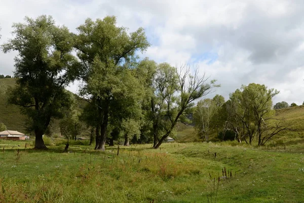 Bergsby Generalka Altai territorium i västra Sibirien. Ryssland — Stockfoto