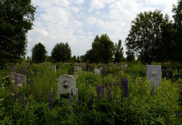 야로슬라블의 스몰렌스크 묘지 — 스톡 사진