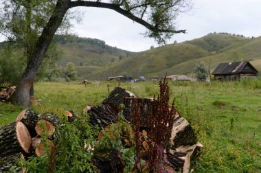  Generalka Altay bölgesinin taiga köyü çevresi