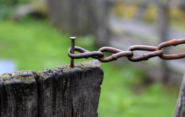  Batı Sibirya'da kapalı devre kapı kırsal bahçesinde